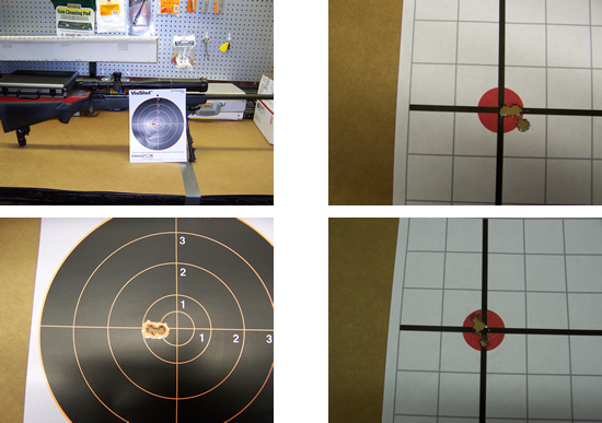 Savage Rifles, Rifle Monopods, Savage Arms 10FP Rifles